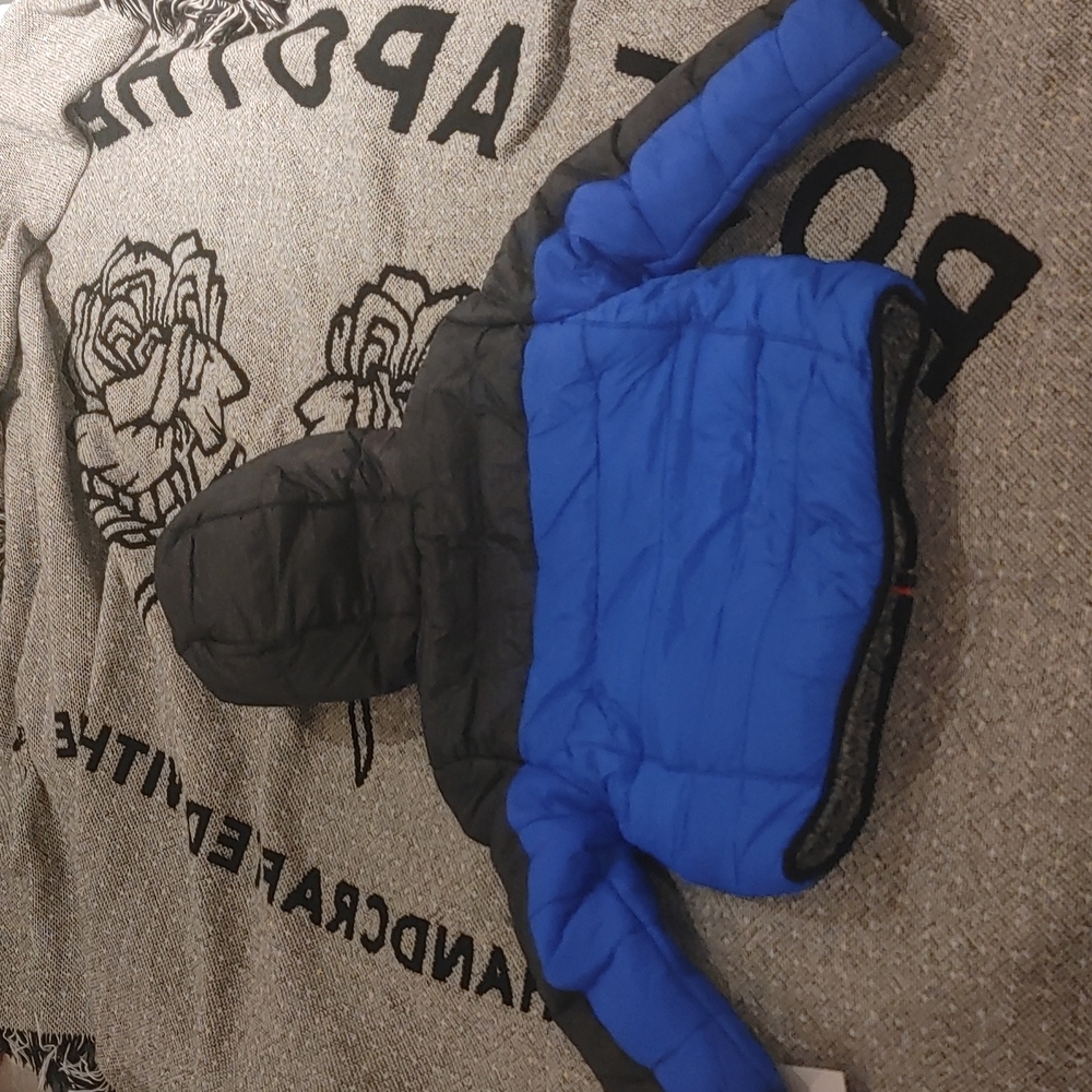 XS winter coat - Picture 4 of 4